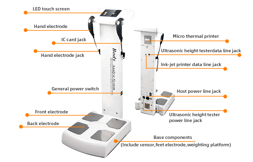 introduction of body composition analyzer